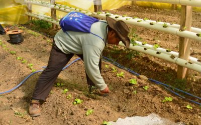 Primera Asamblea online 2024 de la Red Comparte