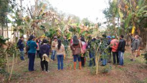 Curso en Economía Social y Solidaria