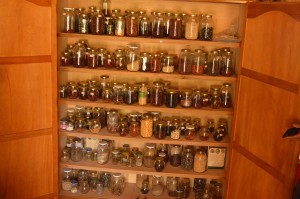 La Agroecología en Colombia: bondades, retos y perspectivas