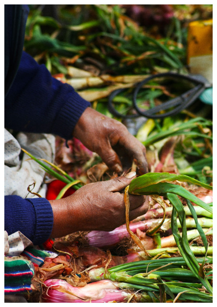 Evaluación Comparte