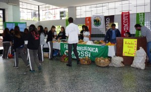 Paraguay: «Con la soja al cuello»