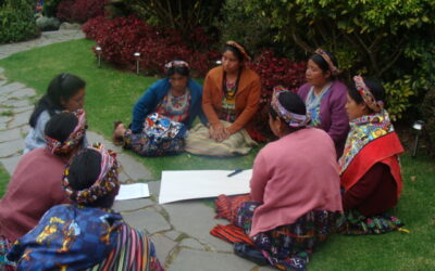 Movimiento indígena quiché articulado, construyendo desarrollo económico alternativo (Guatemala)