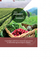 Sistemas Alimentarios Sostenibles