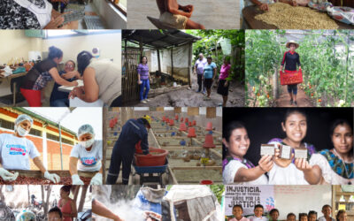 Evaluación del modelo de acompañamiento de la red Comparte 2015-2019