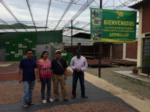 Comunidad de aprendizaje y acción para el desarrollo alternativo