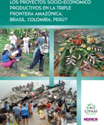 ¿Por qué fracasan la mayoría de los proyectos socio-económico productivos en la triple frontera amazónica…?