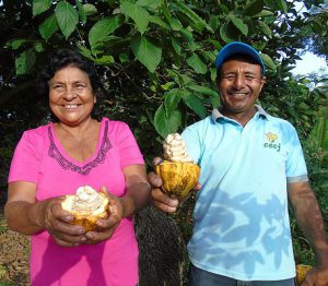 El Alto Piura tiene aroma a chocolate, Perú