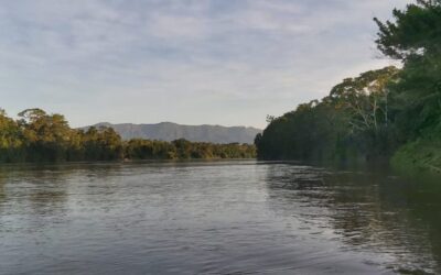 Escuela de Formación en Agroecología de Condorcanqui, Amazonía-Perú