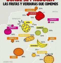 Con la soja al cuello 2016: informe sobre agronegocios en Paraguay