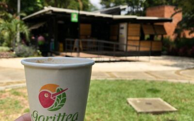El poder de una pequeña tienda de café: las enseñanzas de Garittea-Capeltic.