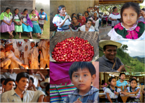 Yomol A´Tel: razones para la esperanza