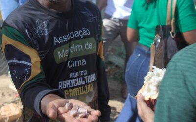 Taller de manejo agroecológico del Cacao, Mandim de Cima – Itarantim-BA, Brasil