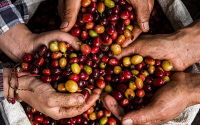 Primera Asamblea 2025 de la Red Comparte: ¡Avanzamos con compromiso y visión!