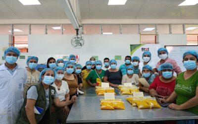 CIPCA Perú impulsa el fortalecimiento técnico de organizaciones frutícolas en el Alto Piura