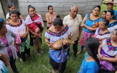 Mujeres tseltales construyen su autonomía económica en Chiapas, México