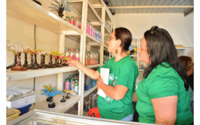 Hogar de Cristo: pionero en impulsar Circuitos Económicos Solidarios en contextos urbanos, Ecuador