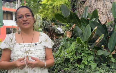 Las mujeres se fortalecen y los territorios avanzan