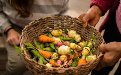 Rede Comparte inicia um fundo de financiamento alternativo com a Tinidia para apoiar iniciativas produtivas comunitárias