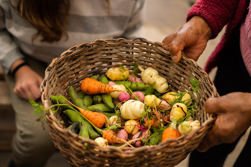 La Red Comparte impulsa un fondo de financiación alternativa junto a Tinidia para fortalecer iniciativas productivas comunitarias